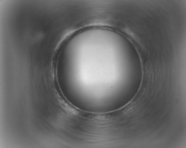 X0000068261408200604281513