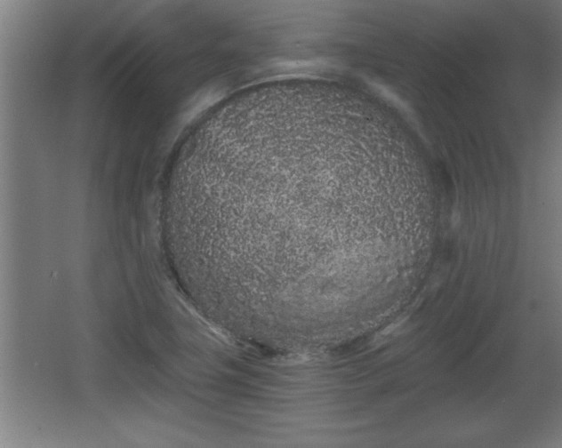 X0000068261411200604281513