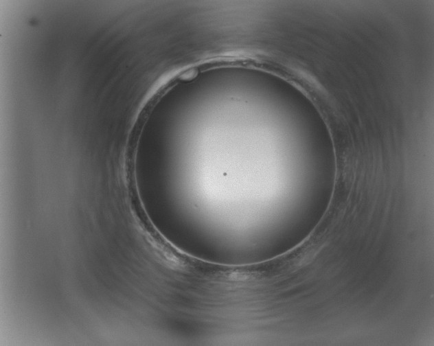 X0000068261412200604281514