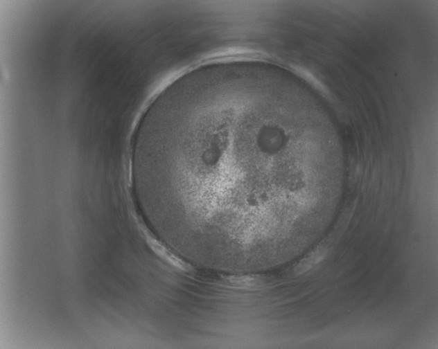 X0000068261413200604281514