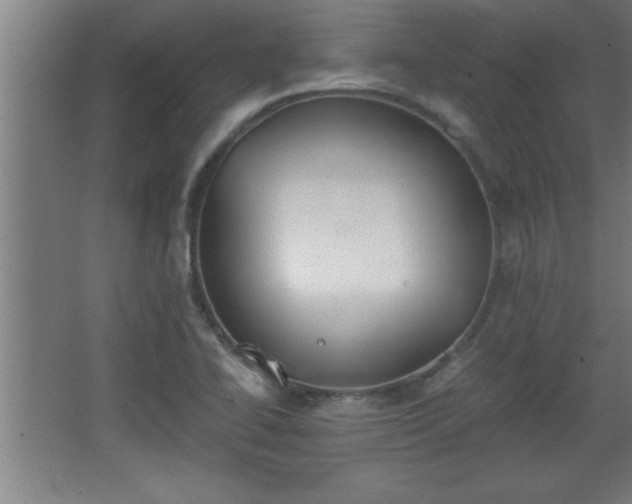 X0000068261414200604281514