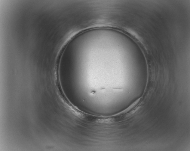 X0000068261415200604281514