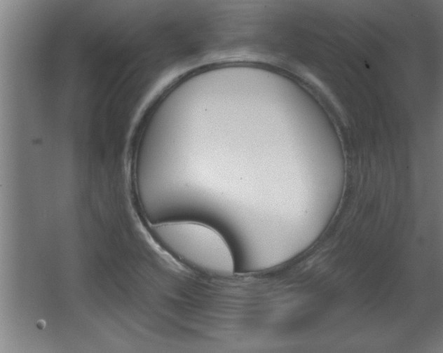 X0000068261416200604281514