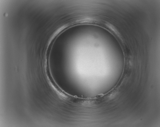 X0000068261418200604281514