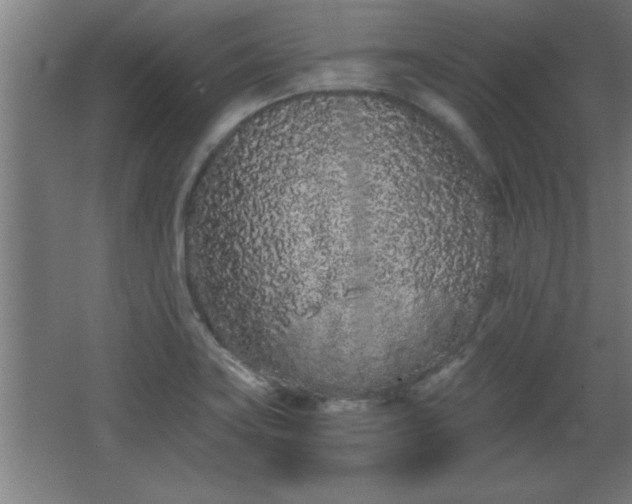 X0000068261419200604281514