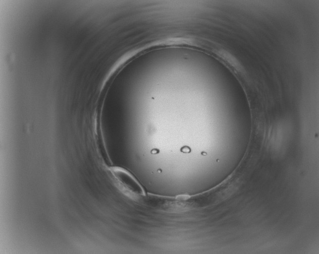 X0000068261420200604281514