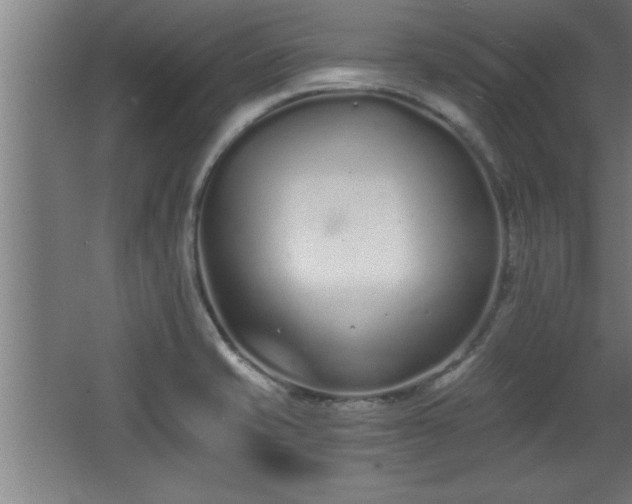 X0000068261421200604281514