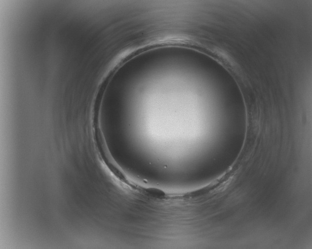 X0000068261422200604281514