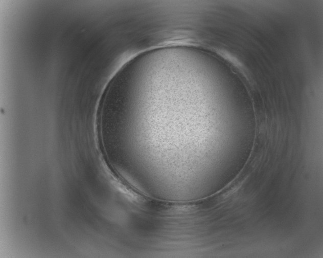 X0000068261423200604281514