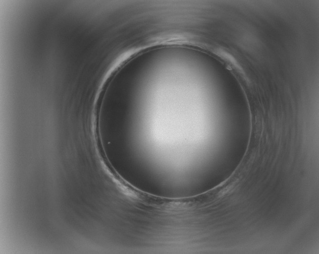 X0000068261424200604281514