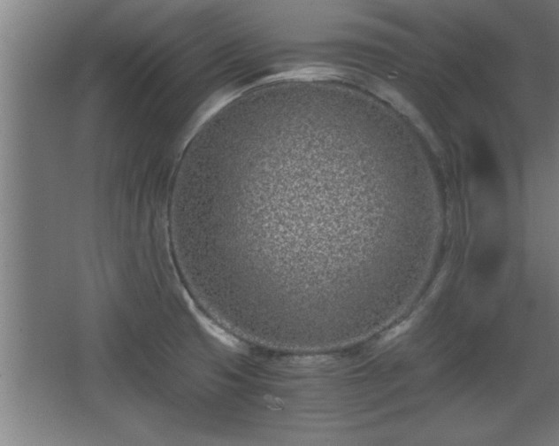 X0000068261425200604281514