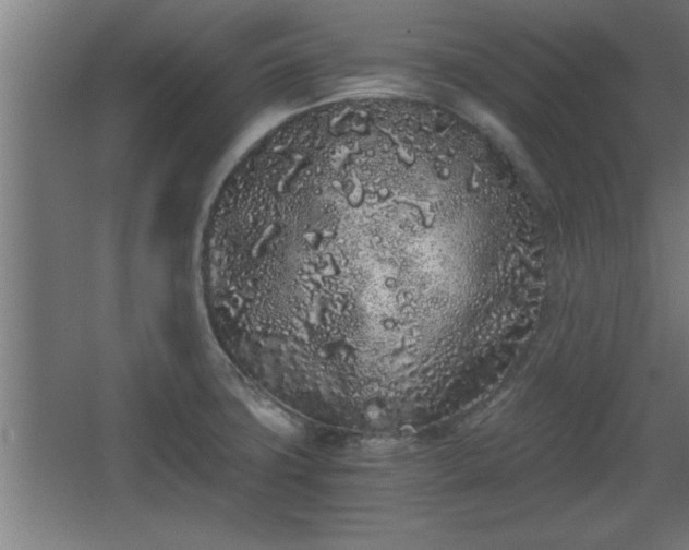 X0000068261427200604281514