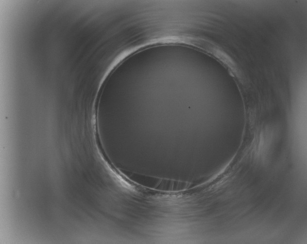 X0000068261428200604281514