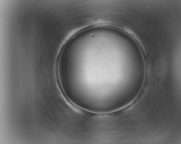 X0000068261429200604281514