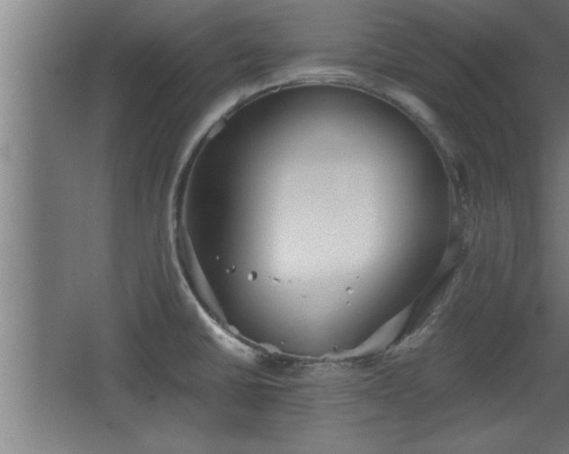 X0000068261430200604281514