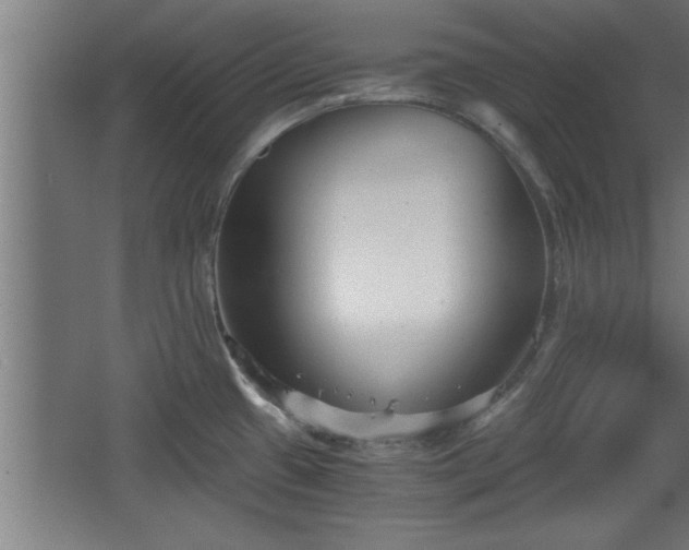 X0000068261433200604281514