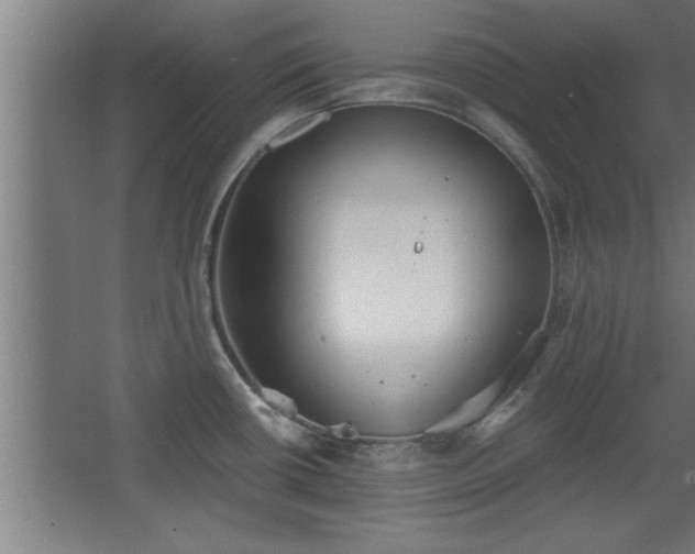 X0000068261434200604281514