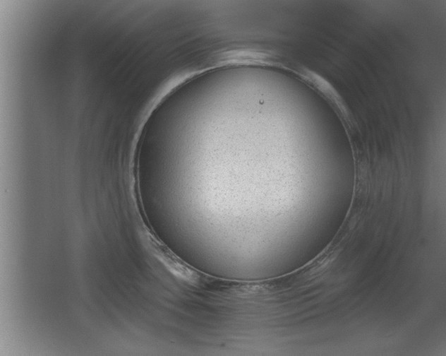 X0000068261435200604281514