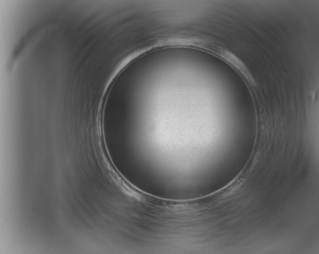 X0000068261436200604281514