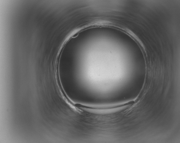 X0000068261437200604281514