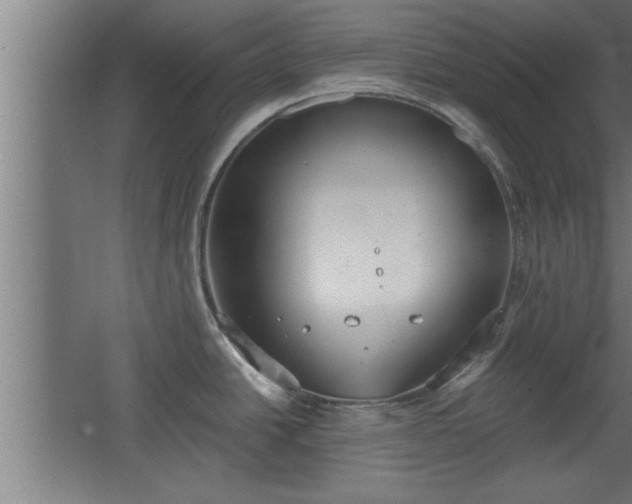 X0000068261438200604281514