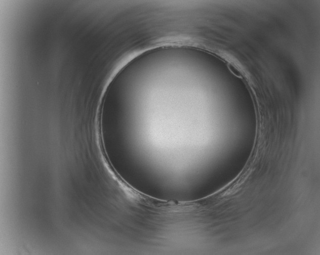 X0000068261440200604281514