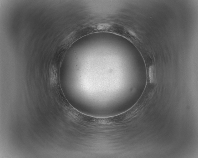 X0000068261443200604281513