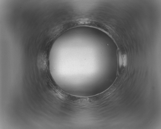 X0000068261444200604281513