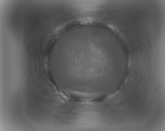 X0000068261445200604281513