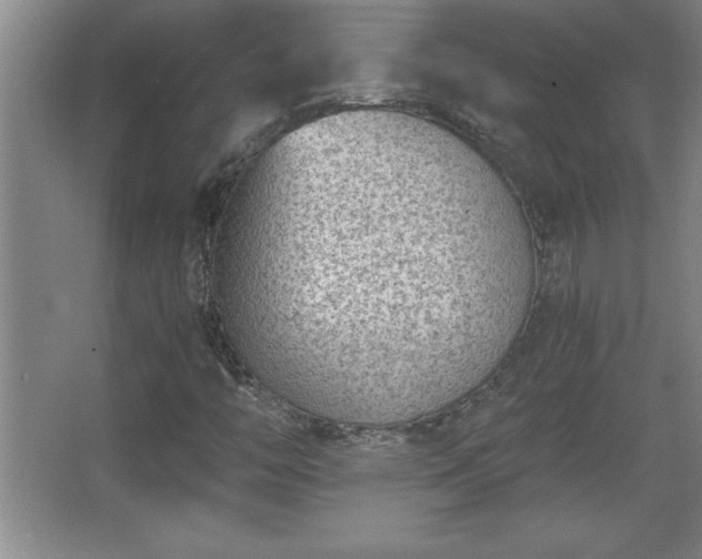 X0000068261446200604281513