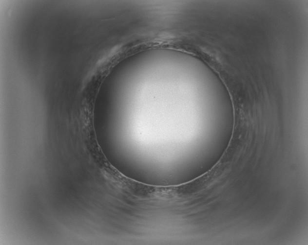 X0000068261447200604281513