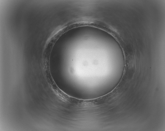 X0000068261448200604281513