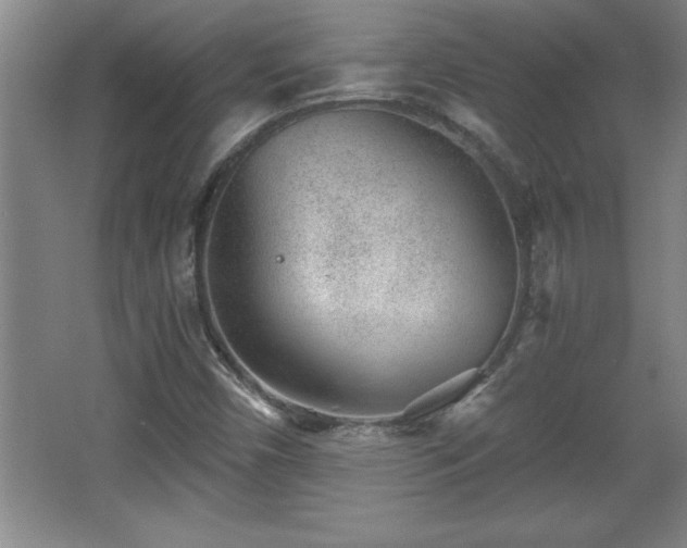 X0000068261450200604281513