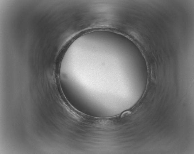 X0000068261452200604281513