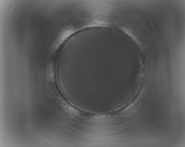 X0000068261455200604281513