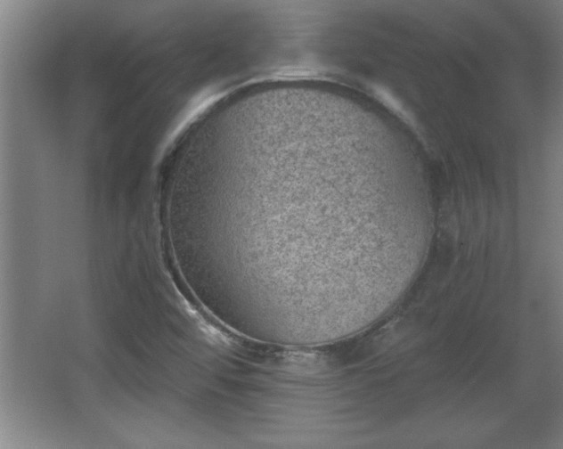 X0000068261456200604281513