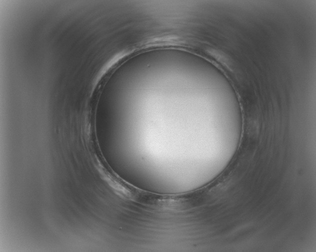 X0000068261458200604281513