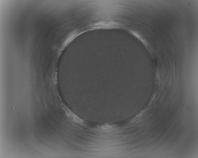 X0000068261459200604281513