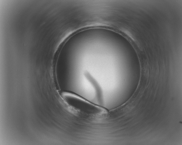 X0000068261460200604281513