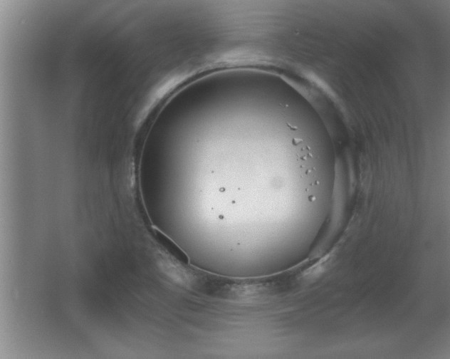 X0000068261461200604281513