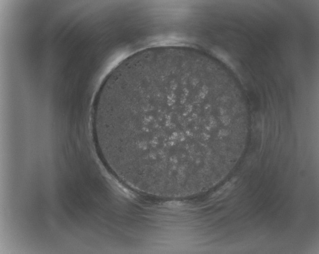 X0000068261463200604281513