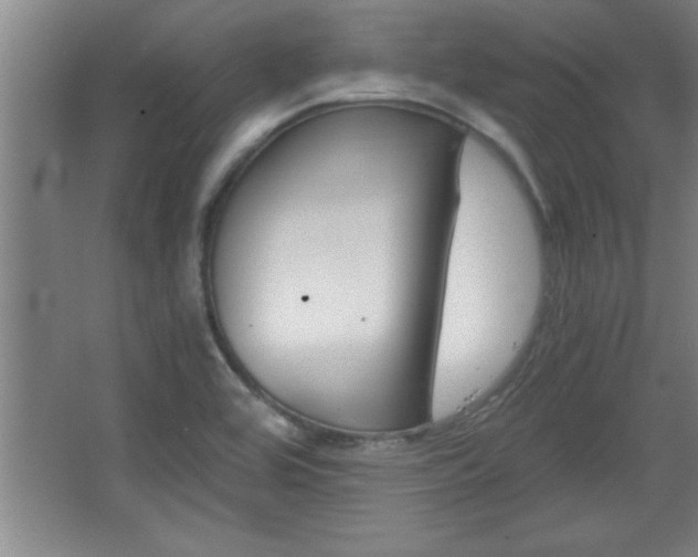 X0000068261464200604281513