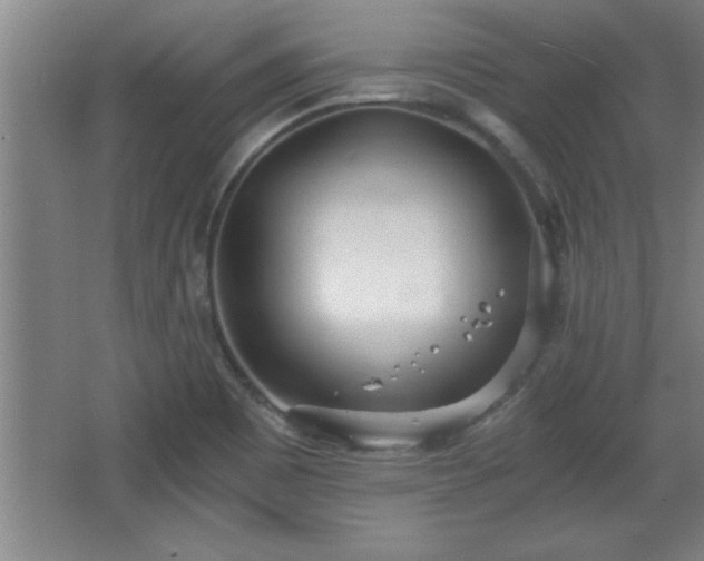 X0000068261465200604281513