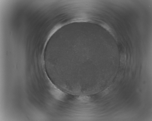 X0000068261466200604281513