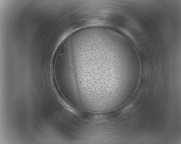 X0000068261467200604281513