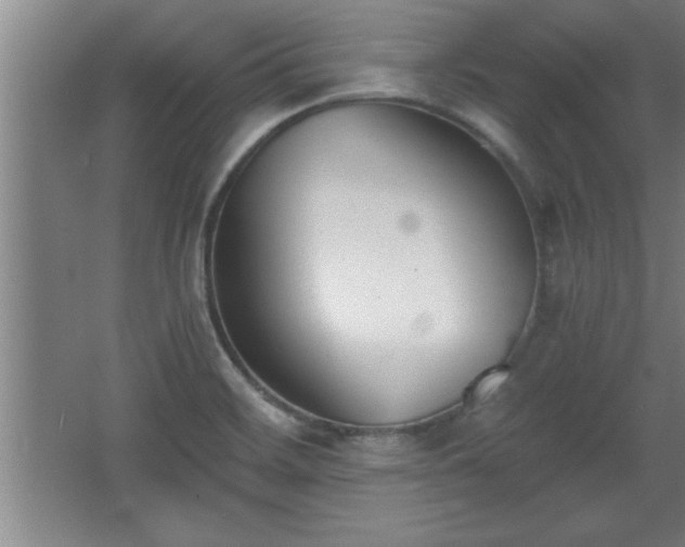 X0000068261468200604281513