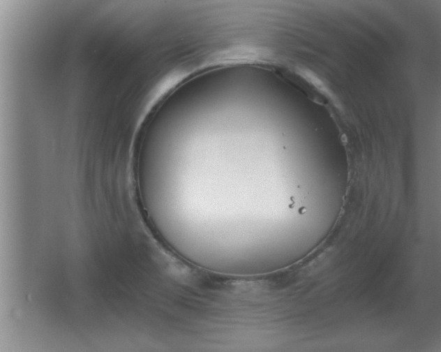 X0000068261469200604281513