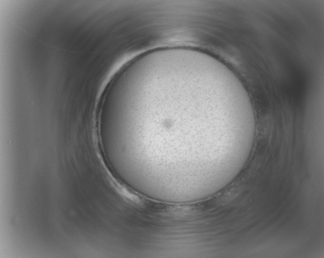 X0000068261470200604281513