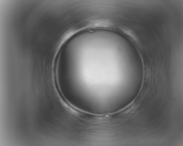 X0000068261471200604281513