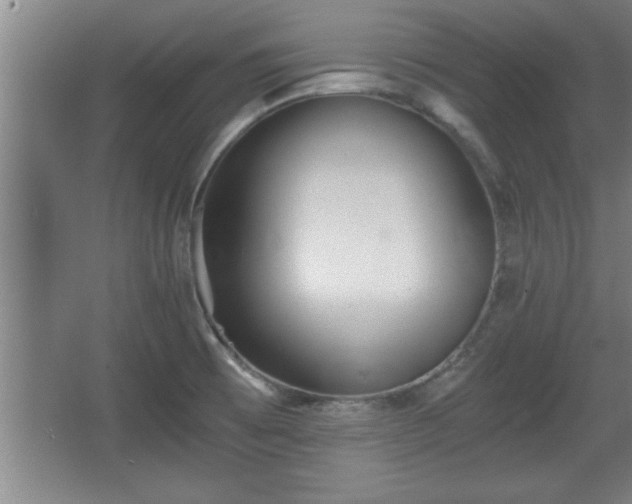 X0000068261473200604281513